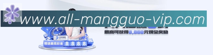 未来规划